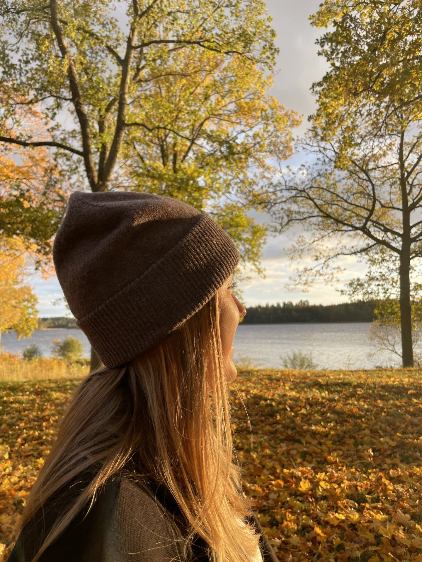 Wool hat with silk lining, Taupe
